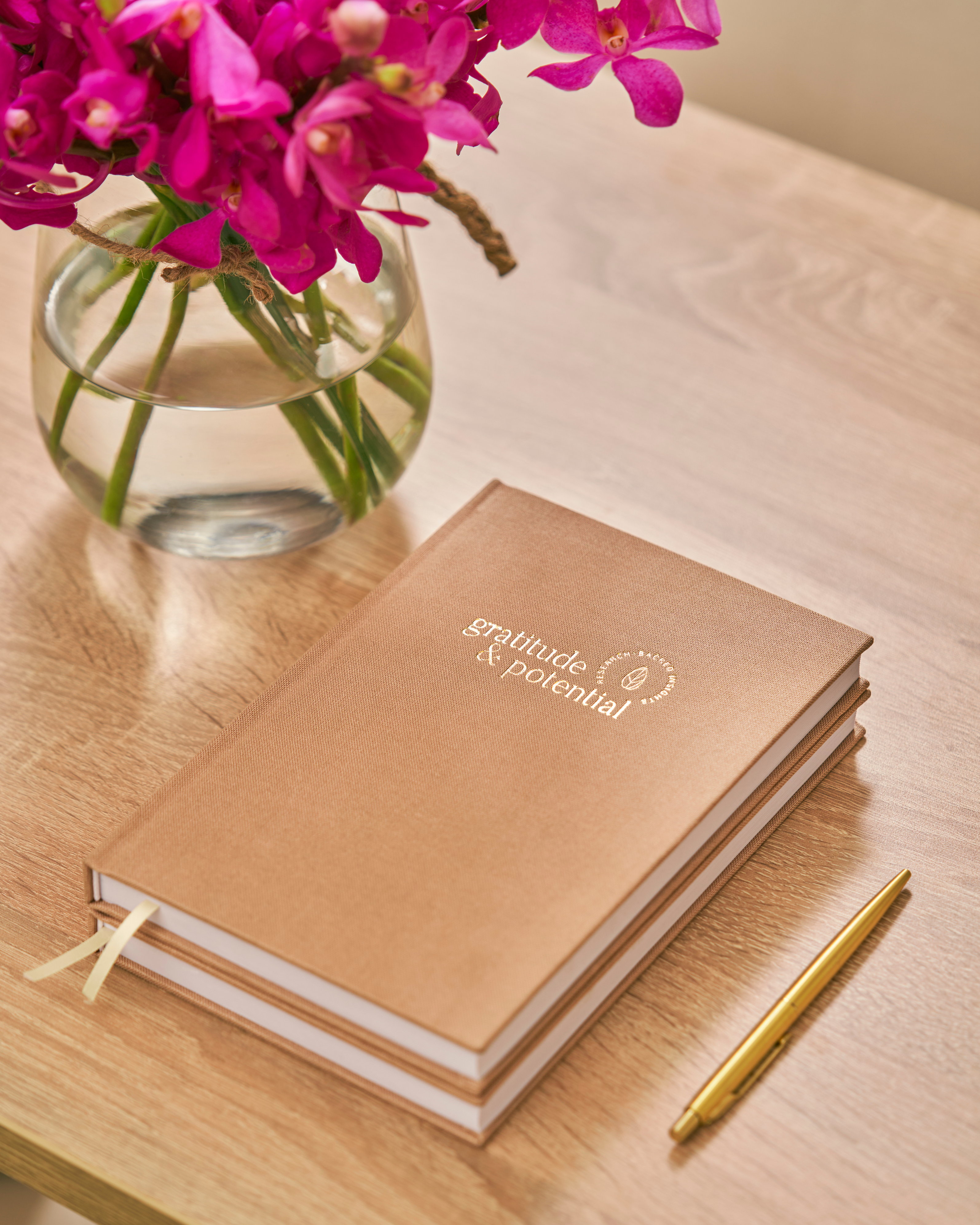 Gratitude + Potential Journal | Reflection for Personal Growth
