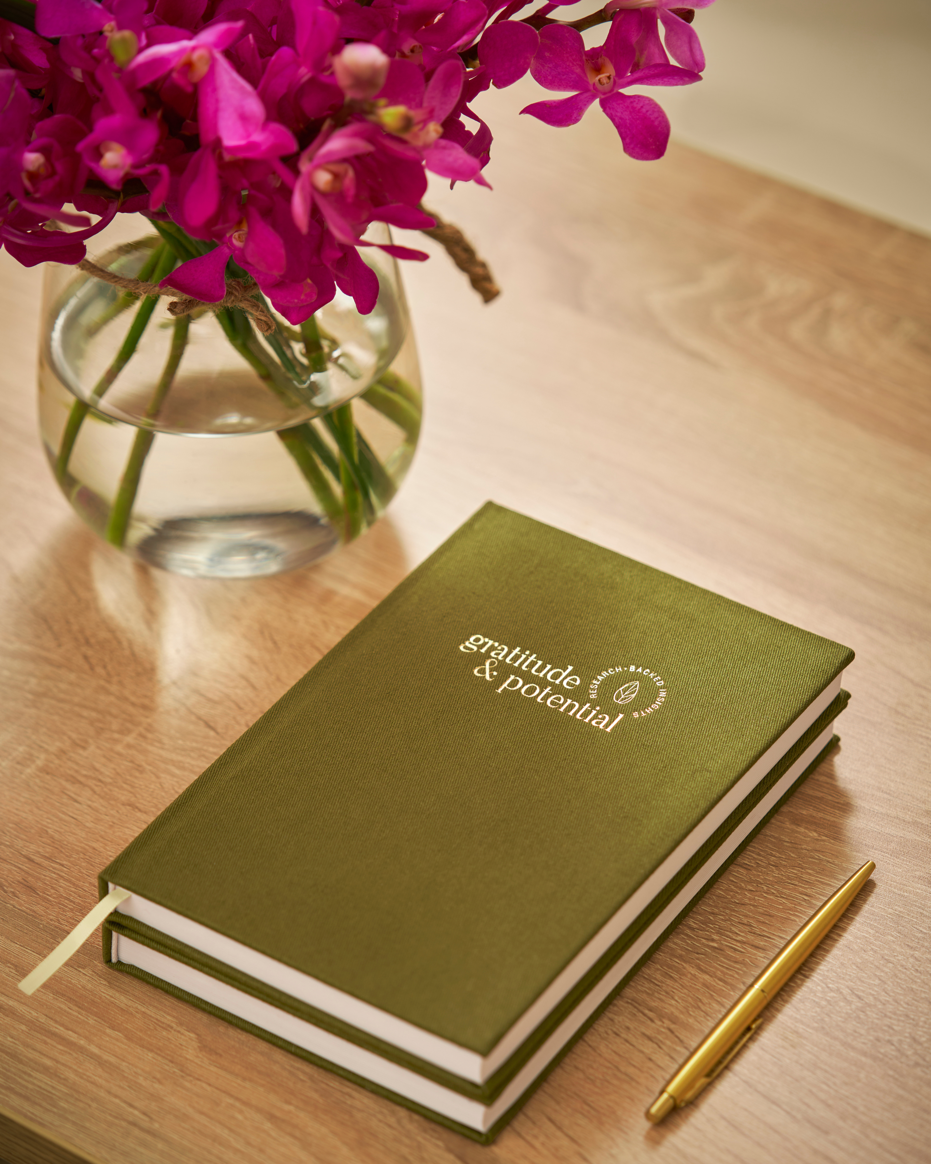 Gratitude + Potential Journal | Reflection for Personal Growth